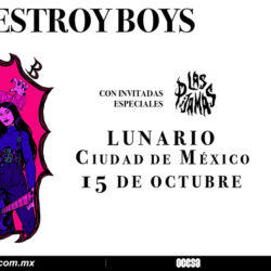 Destroy Boys Punk Rock Para México
